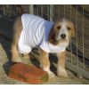 photoi at 10 weeks