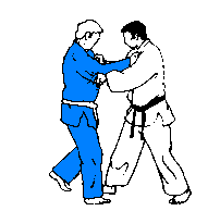 Ippon-Seoi-Nage