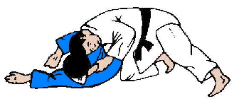 Kata-Gatame