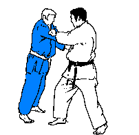 Morote-Seoi-Nage
