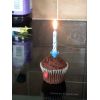 Thursday: Sensei's Birthday!