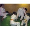 Saturday 20th  December 2008.. Inflatable Judo Session