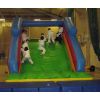 Saturday 20th  December 2008.. Inflatable Judo Session