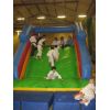 Saturday 20th  December 2008.. Inflatable Judo Session
