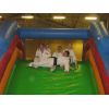 Saturday 20th  December 2008.. Inflatable Judo Session