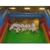 Saturday 20th  December 2008.. Inflatable Judo Session