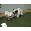 FPJ Level 2 Re-qual, Saturday 10th &amp; Sunday 11th October 2009, Southampton Samurai Judo Club, Southampton