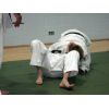 FPJ Level 2 Re-qual, Saturday 10th &amp; Sunday 11th October 2009, Southampton Samurai Judo Club, Southampton