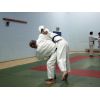 FPJ Level 2 Re-qual, Saturday 10th &amp; Sunday 11th October 2009, Southampton Samurai Judo Club, Southampton