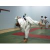 FPJ Level 2 Re-qual, Saturday 10th &amp; Sunday 11th October 2009, Southampton Samurai Judo Club, Southampton