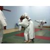 FPJ Level 2 Re-qual, Saturday 10th &amp; Sunday 11th October 2009, Southampton Samurai Judo Club, Southampton