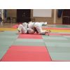 Ne-waza randori