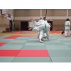 Tachi-randori: Tony (Bristol) throws Alice (Southampton)
