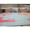 Tatami: the main mat