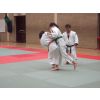 Grading day: contests for 3rd Kyu and above