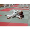 Grading day: contests for 3rd kyu and above