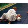 Ne-Waza Randori