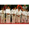 White Horse Judo Club Open 2008