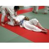 Bognor Summer School