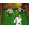 Saturday 20th  December 2008.. Inflatable Judo Session