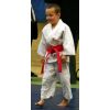 White Horse Judo Club Open 2008