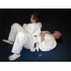 Saturday 20th  December 2008.. Inflatable Judo Session