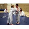 Tachi-Randori