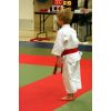 White Horse Judo Club Open 2008
