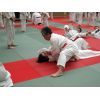 Bognor Summer School
