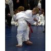 White Horse Judo Club Open 2008