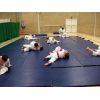 Ne-waza Randori