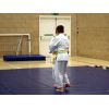 Tachi Randori