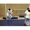 Tachi Randori