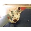 Tachi-randori: Nathan throwing Yvette