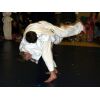 White Horse Judo Club Open 2008