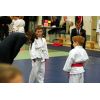 White Horse Judo Club Open 2008