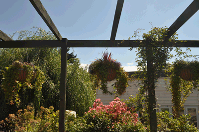  Summer at Westward House B&B