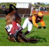 Horse and rider unhurt.