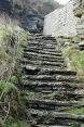  Whaligoe Steps at Ulbster - the fishing folk used to carry baskets of fish up these steps on their shoulders 