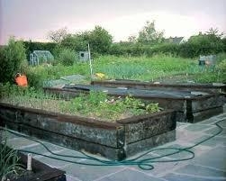 Allotments are a great way of keeping fit
