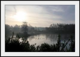 Mere Sands Wood Nature Reserve