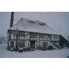 Winter 2010
