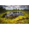 Viru Bog