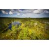 Viru Bog