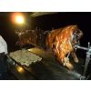 The Whole Hog