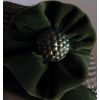 Rhona - Detail of green trim