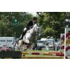 Show Jumping - CLA Game Fair 2011