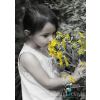Beautiful Flowers