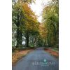 Kingham Road in Autumn