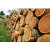 Forestry